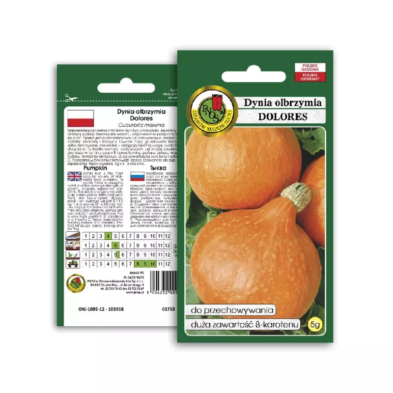 PNOS abóbora gigante Dolores sementes de hortícolas, 5 g