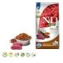FARMINA N&D Quinoa Dog Skin&Coat Veado&Coco Adult Medium&Maxi - Alimento seco para cães - 7 kg