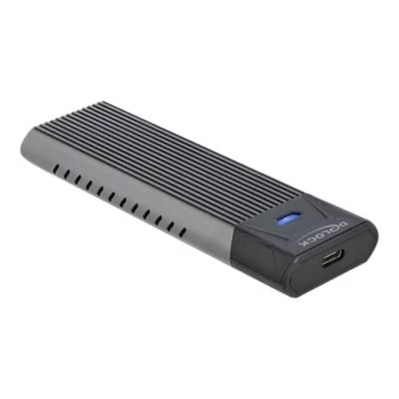 Caixa externa USB Type-C combo DeLOCK para SSD M.2 NVMe PCIe ou SATA - Caixa de armazenamento - M.2 - Cartão M.2 NVMe / SATA 10Gb/s - USB 3,2 (Gen 2) (4263