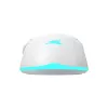 Rato Baracuda BGM-122 Turtle branco TURTLE-W