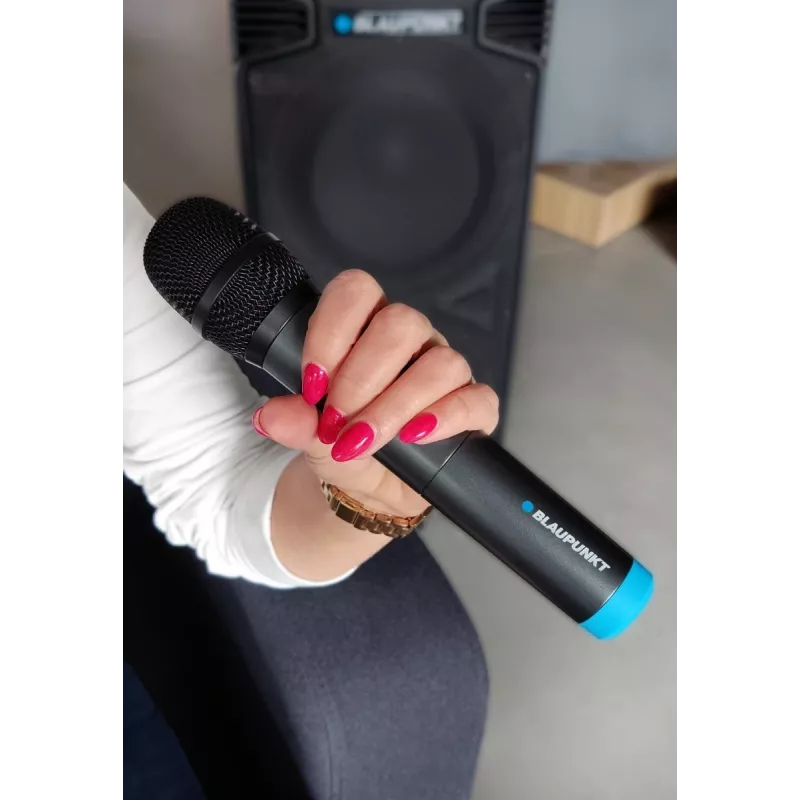 Microfone Blaupunkt WM60UDB
