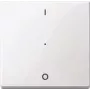 Merten MEG5211-0319 Interruptor elétrico branco (MEG5211-0319)