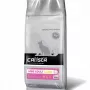 Calista Mini Adult ração seca para cães com borrego, 12 kg