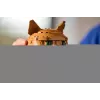 LEGO IDEAS 21376 Gato laranja