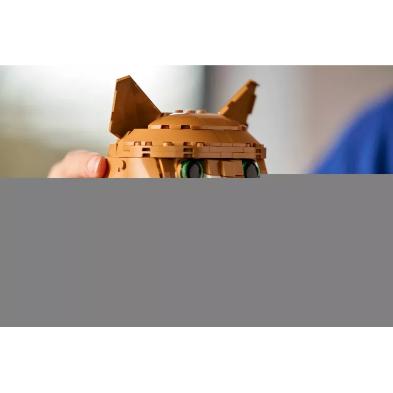 LEGO IDEAS 21376 Gato laranja