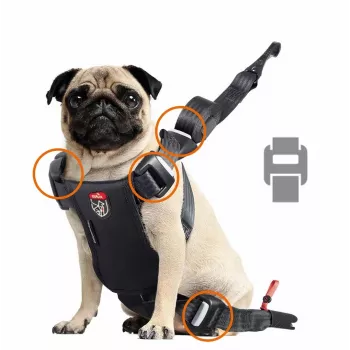 Arnês para cão ZOLUX TRAVEL SAFE S, tamanho S, vermelho