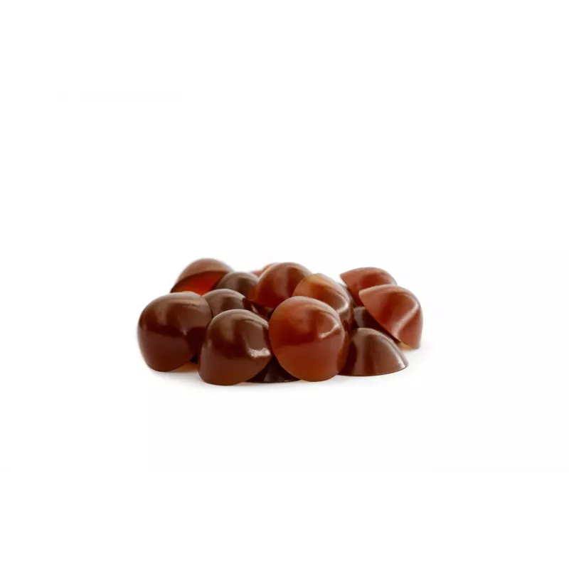 Suplemento alimentar para cães pequenos CONTIPRO GELOREN Small Dog Joints 180 g suporte articular à base de gelatina em saqueta