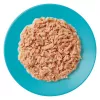 APPLAWS Seleção de peixe multipack em caldo - Alimento húmido para gatos - 12x70g
