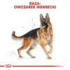 Ração seca para cães Royal Canin German Shepherd Adult, 11 kg — raça grande, aves, 24 % proteína, 19 % gordura