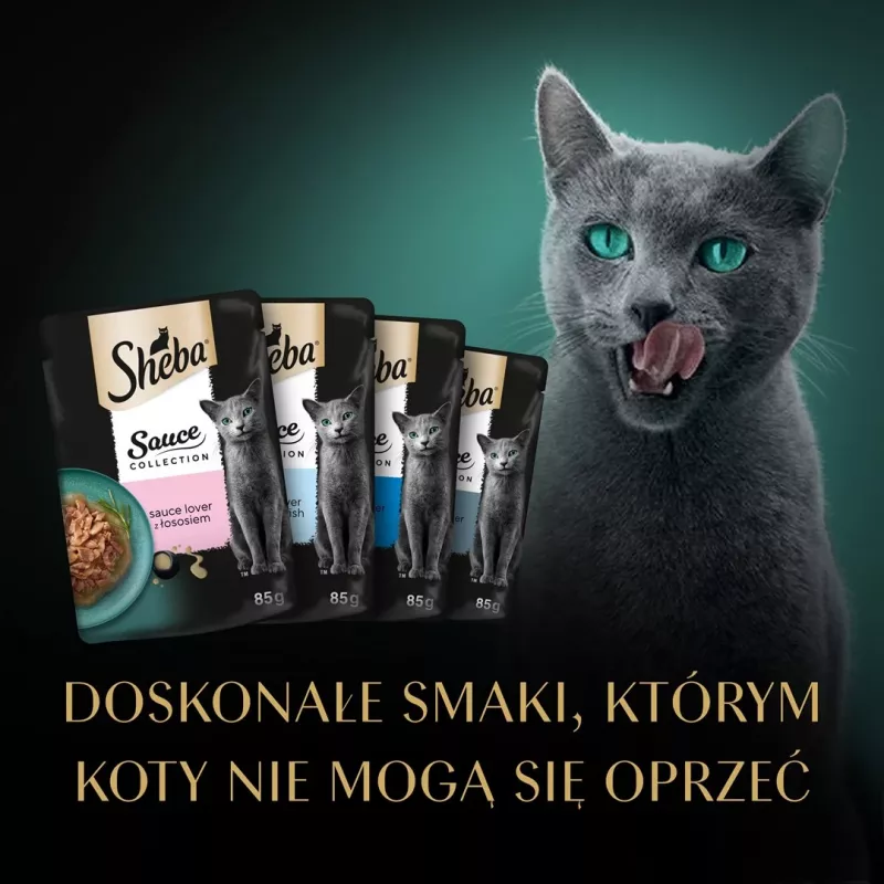 SHEBA Sauce Collection Fish flavors collection - alimento húmido para gatos - 40x85 g