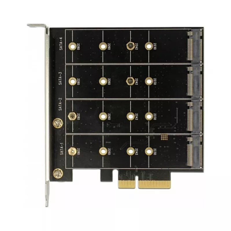 Placa de interface DeLOCK 89888