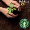 Chaleira elétrica Beldray LA068717GRYEU7 1,7 L, 2200 W, cinzento