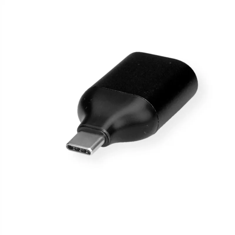 ROLINE 12.03.3228 Adaptador gráfico USB 1920 x 1080 píxeis preto (12.03.3228)