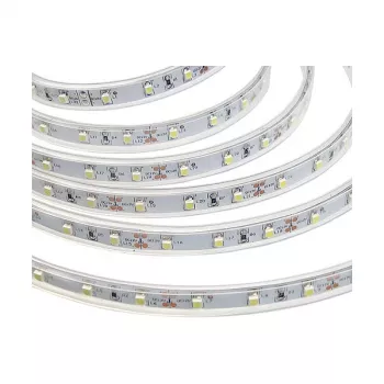 Synergy 21 Fita Flex LED 3528 - 60 KW DC12V 24W IP65