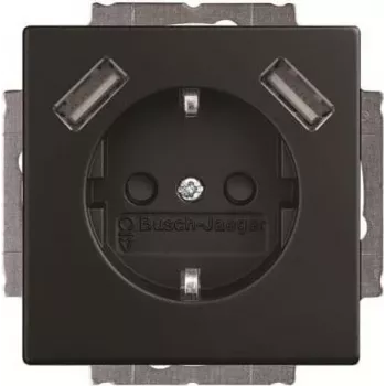 BJ 20 EUCB2USB-885 tomada SCHUKO/2x USB (2CKA002011A6279)