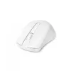 Rato DICOTA D31659W RF Wireless USB Type-C