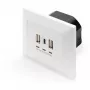DIGITUS DA-70618 - saída USB - USB, USB Type-C - 2 portas USB, 1 conector fêmea USB-C - 3,1 A - RAL 9003, branco sinal