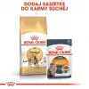 Royal Canin Bengal Adult ração seca para gatos, 2 kg, aves e legumes