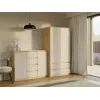 Cómoda com 2 portas e 4 gavetas, carvalho artisan/cor caxemira
