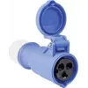 Tomada CEE AS Schwabe 60592 16 A 230 V, conector industrial