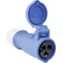 Tomada CEE AS Schwabe 60592 16 A 230 V, conector industrial