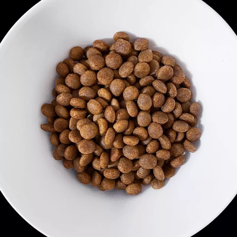 VET RESPONSE Hipoalergénico - Alimento seco para cães - 8 kg