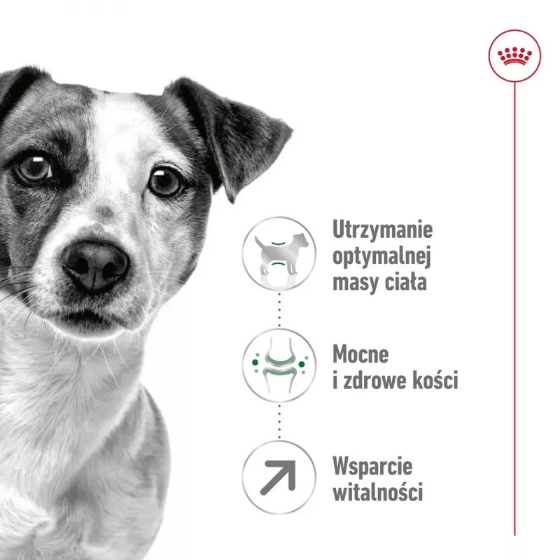 Comida seca para cães Royal Canin Mini Adult 8+ 2 kg — raças pequenas 5–10 kg, aves, fórmula de controlo de peso