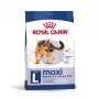 Royal Canin Maxi Adult ração seca para cães, 15 kg