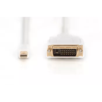 Cabo DisplayPort 1.1a Mini DP-DVI Type-A macho-macho 2,0 m