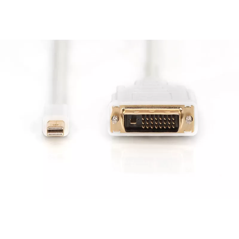 Cabo DisplayPort 1.1a Mini DP-DVI Type-A macho-macho 2,0 m