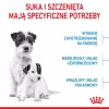 Ração seca para cães Royal Canin Starter Mother & Babydog 1 kg — frango, 30% proteína, 22% gordura