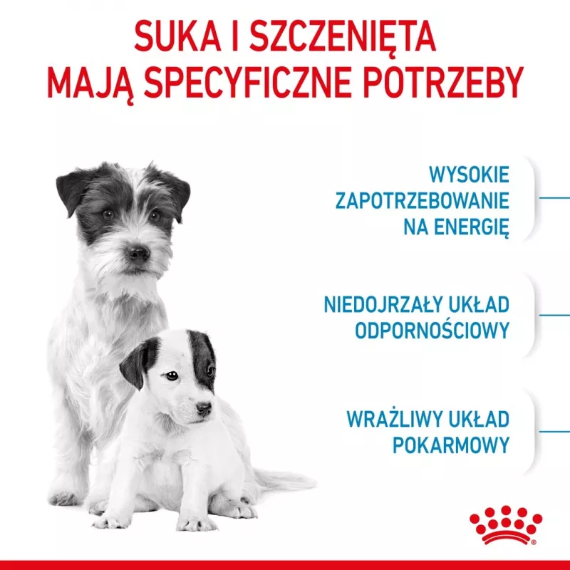 Ração seca para cães Royal Canin Starter Mother & Babydog 1 kg — frango, 30% proteína, 22% gordura
