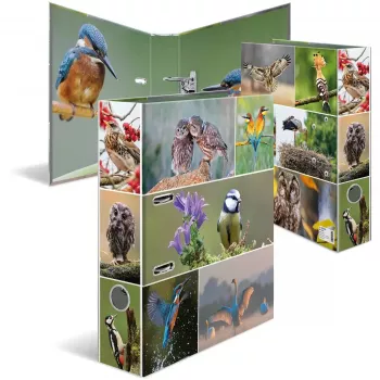 Dossier HERMA 19254 A4 multicolorido com anéis D 285x315 mm