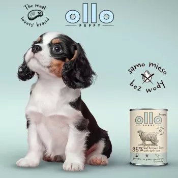 OLLO Puppy Umami Vaca e tripa verde com fígado de pato - Comida húmida para cães - 400 g