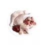 3COTY Frango - Alimento húmido para gatos - 80g