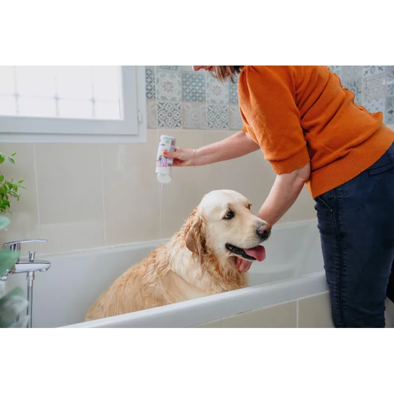 Champô VIRBAC Allerderm Normal 250 ml – cuidados suaves para a pele de animais de estimação para cães e gatos