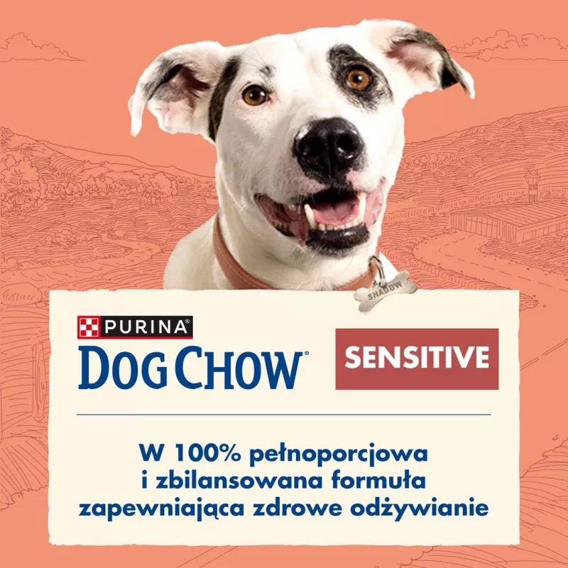 Purina DOG CHOW Sensitive Adult 14 kg salmão