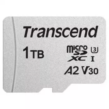 USD300S - 1 TB - MicroSDXC - Classe 1 - 3D NAND - 100 MB/s - 85 MB/s