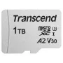 USD300S - 1 TB - MicroSDXC - Classe 1 - 3D NAND - 100 MB/s - 85 MB/s