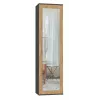 Top e shop DUO SZAFA ANT/ART KP — 1 porta, 2 prateleiras, 500×350×1800 mm