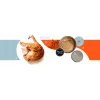 3COTY Peru com frango e krill Sénior - Alimento húmido para gatos - 80g