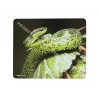 Natec NPP-0936 produto branco