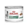 ROYAL CANIN Dog Satiety Loaf VHN - Comida húmida para cães - 195g