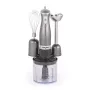 Salter EK2827GUNMETALFVDE Cosmos conjunto de liquidificadora 3 em 1