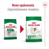 Ração seca para cães Royal Canin Adult Mini S 8 kg — alimento completo para cães adultos de raças pequenas