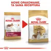Comida seca para cães Royal Canin Cavalier King Charles Adult 1,5 kg — frango, raça pequena, pele e pelo, apoio cardíaco