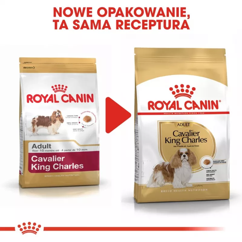 Comida seca para cães Royal Canin Cavalier King Charles Adult 1,5 kg — frango, raça pequena, pele e pelo, apoio cardíaco