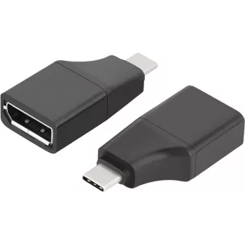 ROTRONIC-SECOMP VALUE - Adaptador de vídeo - 24 pinos USB-C (macho) para DisplayPort (fêmea)