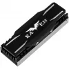 Conjunto de arrefecimento M.2 SSD SILVERSTONE SST-TP03-ARGB com suporte ARGB