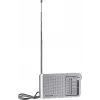 Rádio analógico portátil Panasonic RF-P150DEG prateado